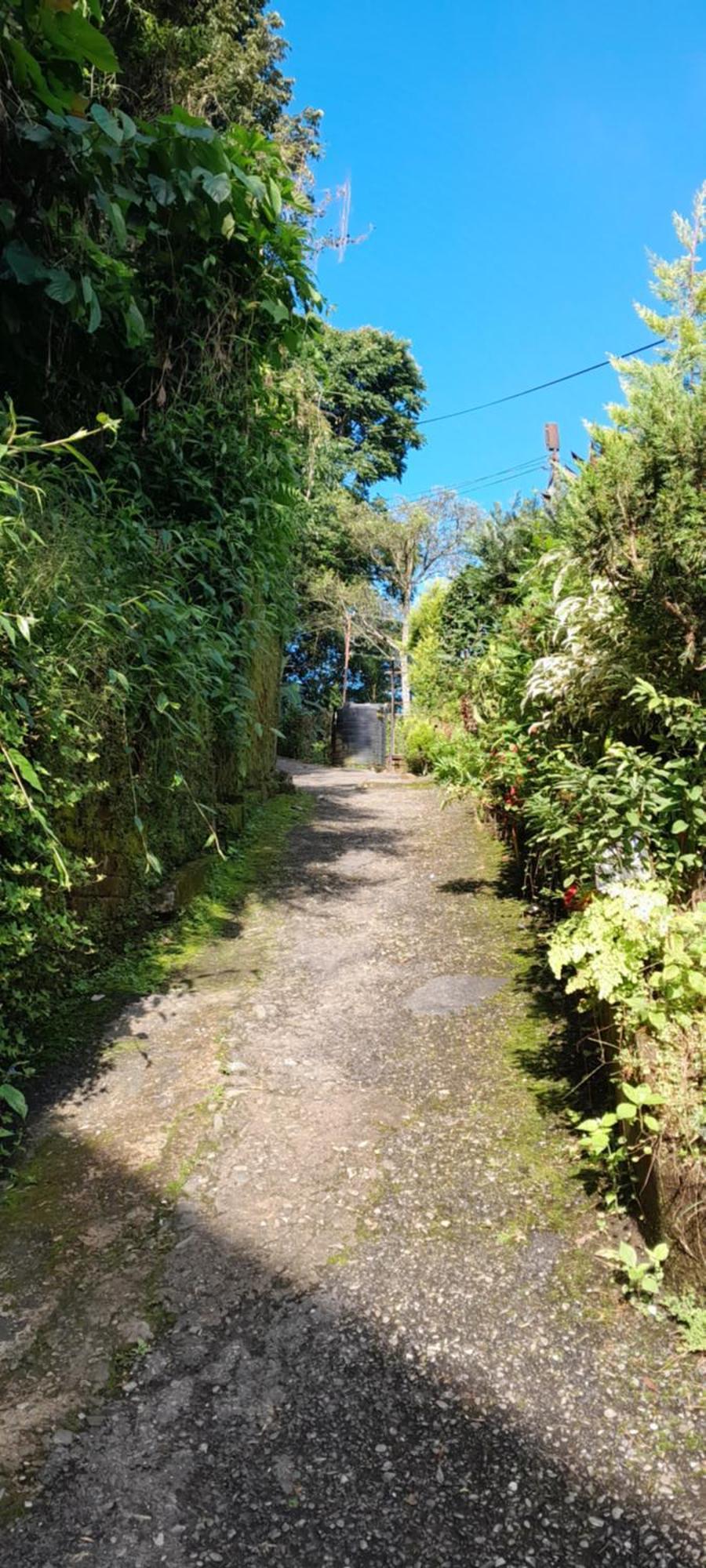 Seven Hills Homestay Kalimpong Værelse billede
